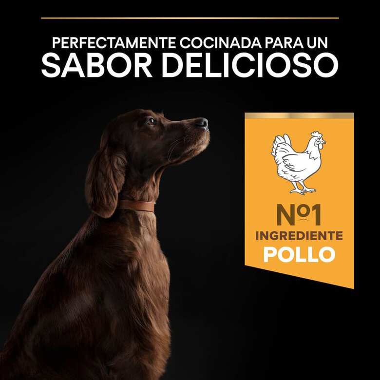 Pro Plan Large Athletic Adult Pollo pienso para perros, , large image number null